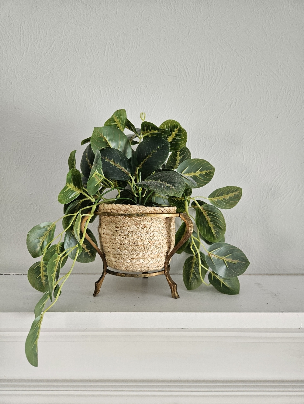 Vintage Brass Decorative Plant Holder/Stand - Picture 4 of 7